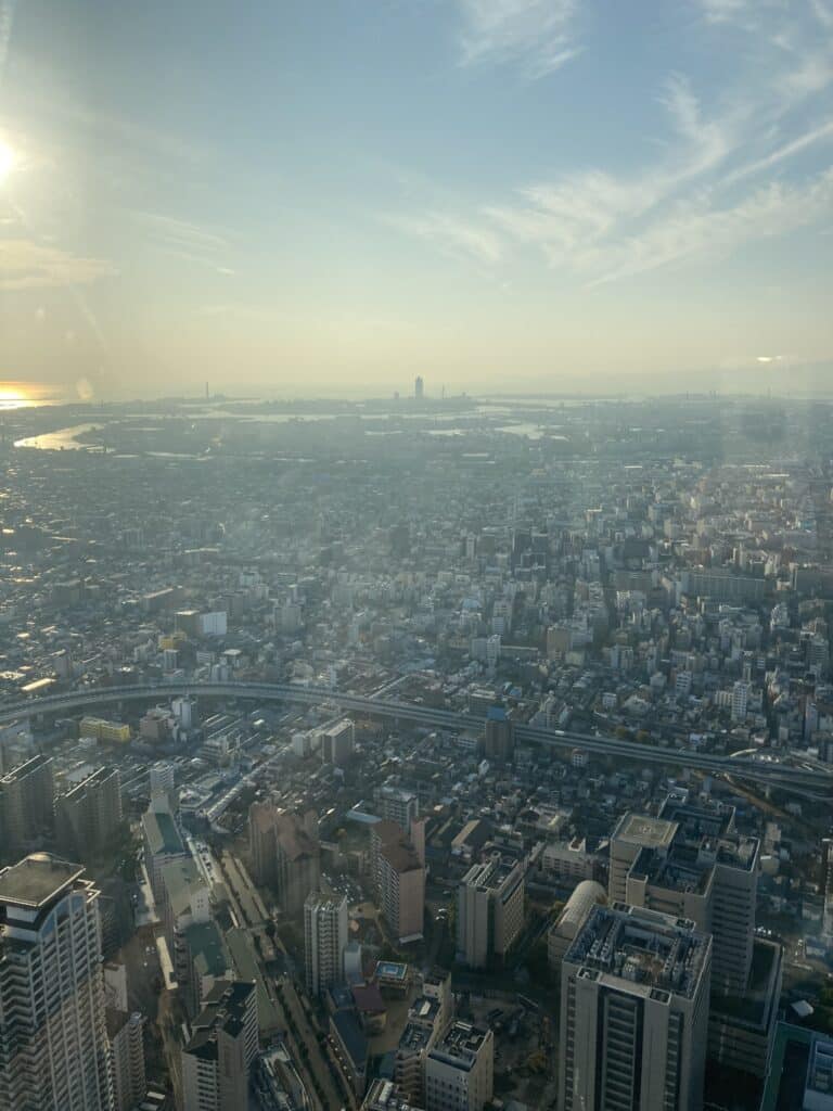IMG_9648