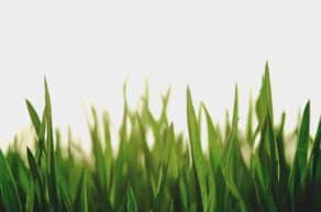 Craft Breweries Reduce Their Carbon Footprint with Miura