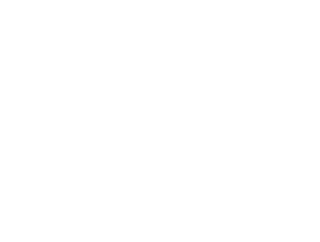 Armstrong White Logo